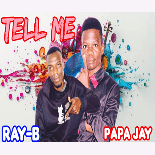 Papa Jay and Ray B performing their Afrobeat collaboration 'Tell Me' with emotional lyrics and smooth harmonies on stage