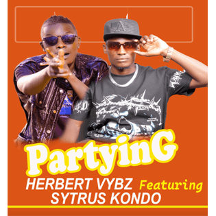 partying by Herbert Vybz
