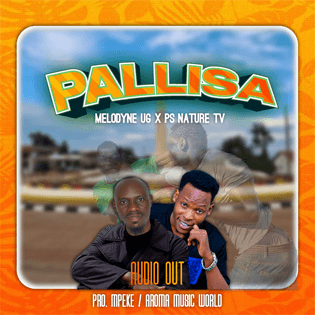 Melodyne UG and Ps Nature TV featured in the cover art for the Teso hit song "Pallisa"